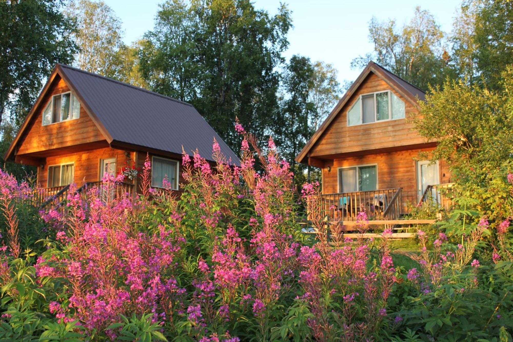 טלקטנה Susitna River Lodging, Riverside Cabins מראה חיצוני תמונה