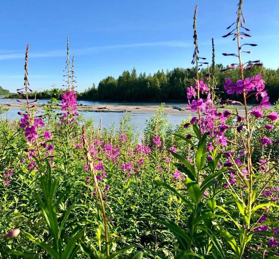 טלקטנה Susitna River Lodging, Riverside Cabins מראה חיצוני תמונה