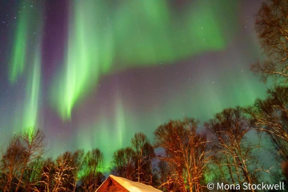 טלקטנה Susitna River Lodging, Riverside Cabins מראה חיצוני תמונה