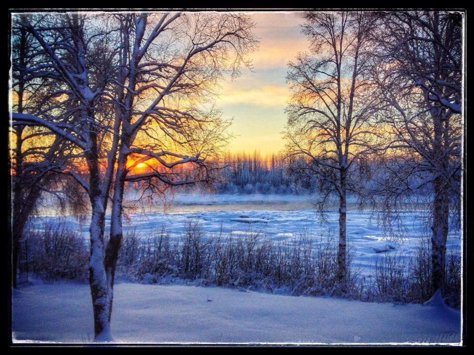 טלקטנה Susitna River Lodging, Riverside Cabins מראה חיצוני תמונה